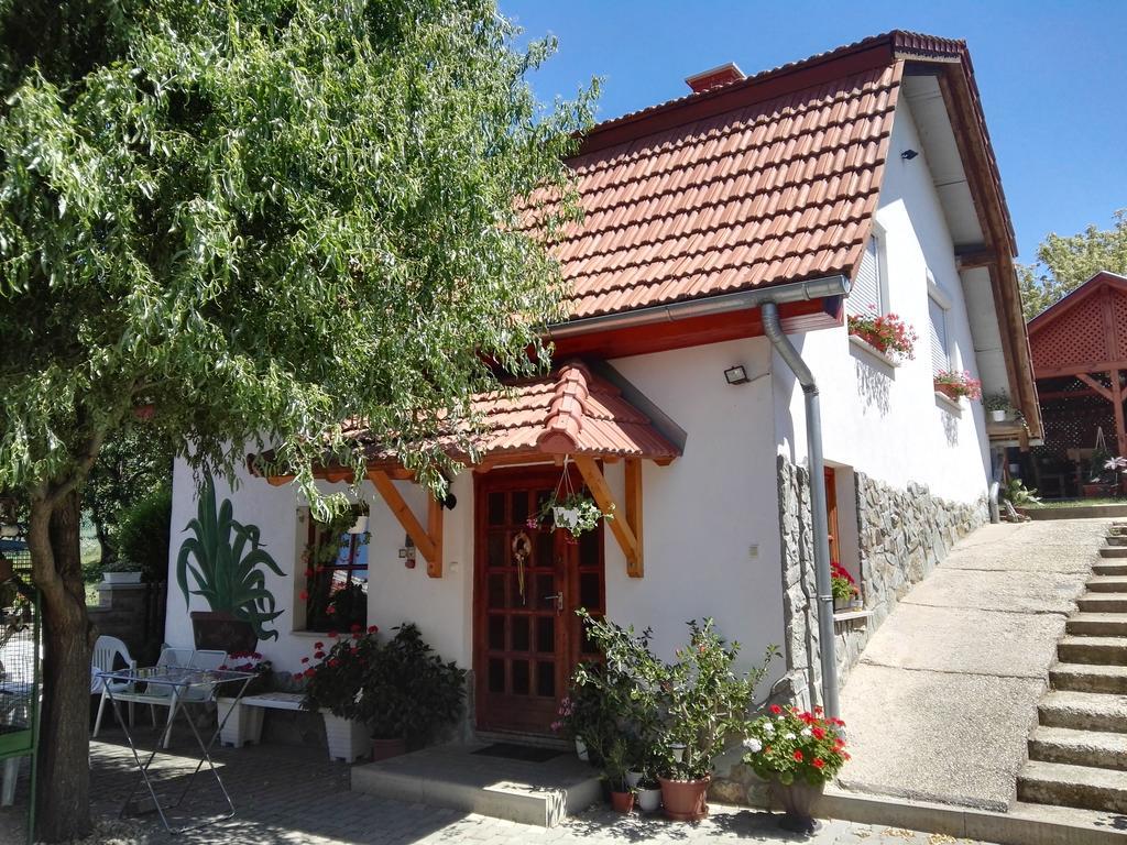 Agave Apartman Sarvar Exterior photo